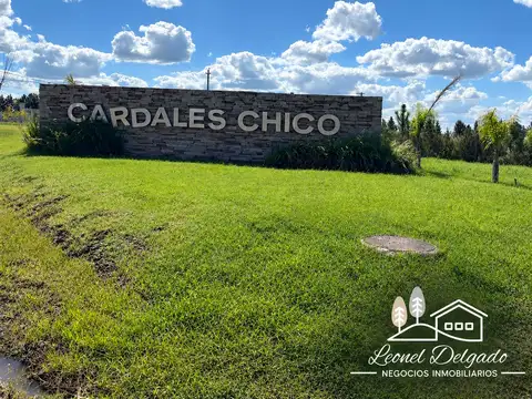 EXCELENTE LOTE EN VENTA EN CARDALES