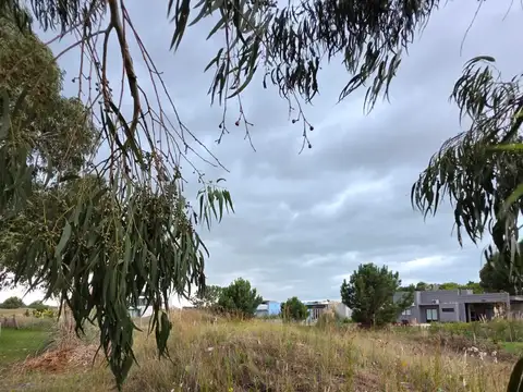 Terreno en Venta de 800,0 m2