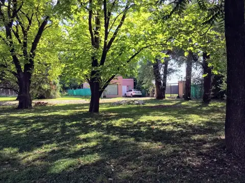 Casa Monoambiente con 1 baño