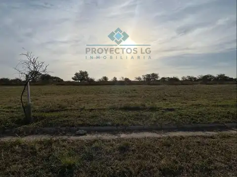 VENTA - LOTES 2000 M2 - COLINAS DE SINSACATE