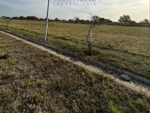 VENTA - LOTES 2000 M2 - COLINAS DE SINSACATE