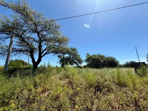 Terrenos sobre Frank, Cortaderas III
