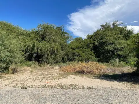 Cafayate. Wine Village. Lote 100