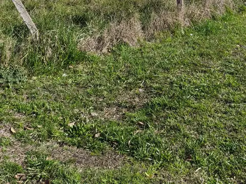 COLECTORA. BARRIO PARQUE SAKURA