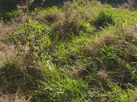 Terreno en Venta en Exaltacion De La Cruz, USD 150.000