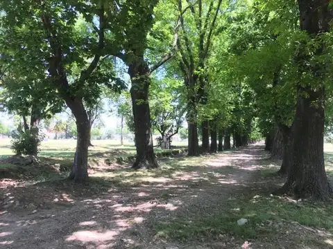 Terreno en Venta de 600,0 m2