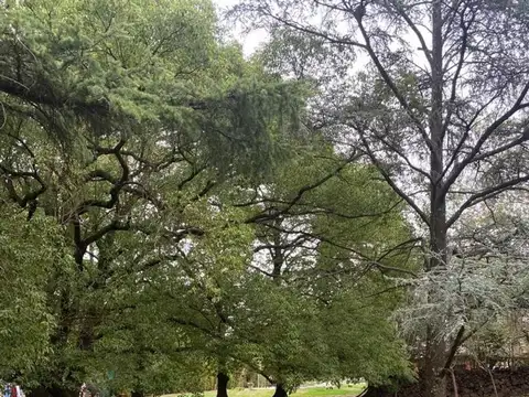 buen lote 50 mts de Storni (La Reja)