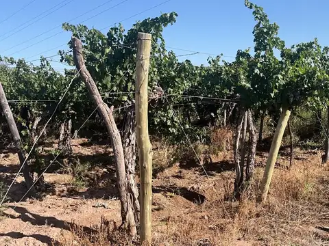FINCA EN VENTA EN ISLA GRANDE BARRANCAS MAIPU