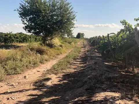 FINCA EN VENTA EN ISLA GRANDE BARRANCAS MAIPU