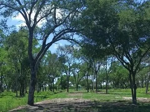 Pueblo mío