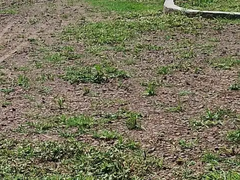 Terreno en Venta en Ruta 11, USD 15.000