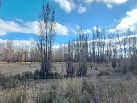 Teniente Coronel Vinter