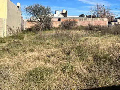 Terreno en Venta de 202090,0 m2