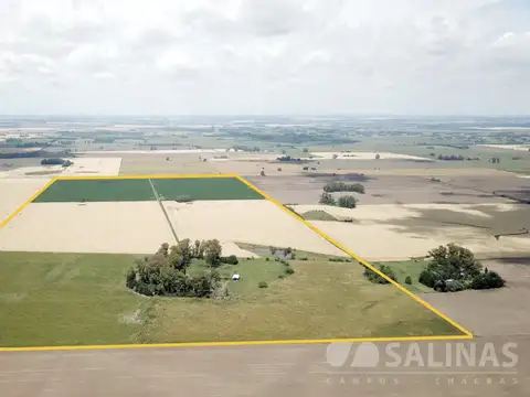135 Has. Campo Agrícola con Casco en Zárate
