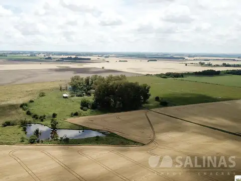 135 Has. Campo Agrícola con Casco en Zárate