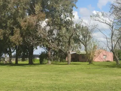 Campo de 90 hectareas en venta, Cañuelas