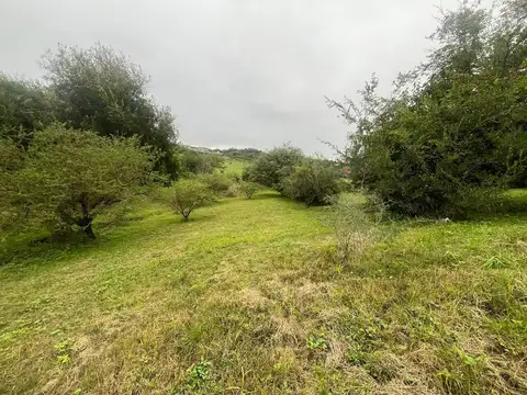 Terreno en Venta de 1296,0 m2