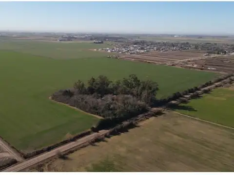 38 has en Ricardone, aptas loteo