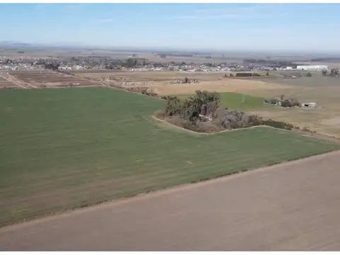 38 has en Ricardone, aptas loteo