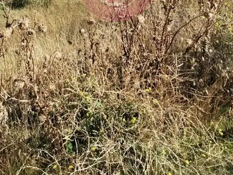 Terreno en Venta en San Martin De Los Andes, USD 37.000