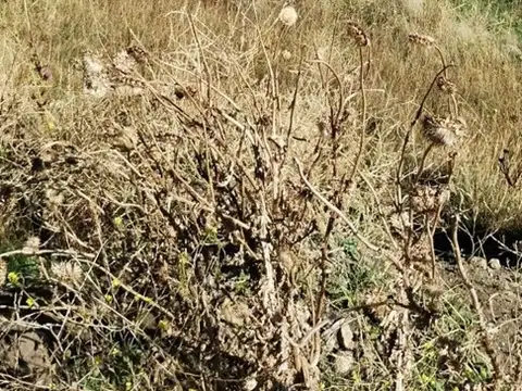 Lote en Venta en San Martin de los Andes, Patagonia