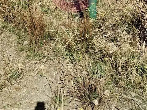 Terreno en Venta en San Martin De Los Andes, USD 37.000