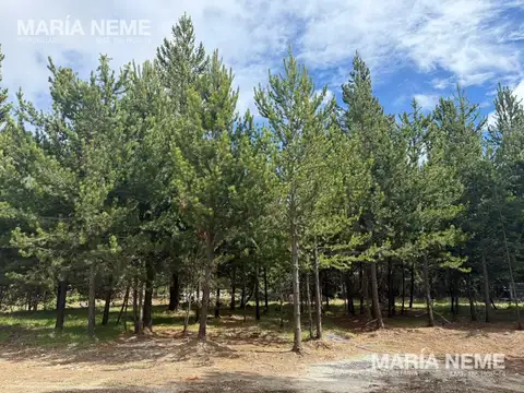 Terreno en Venta de 822,0 m2