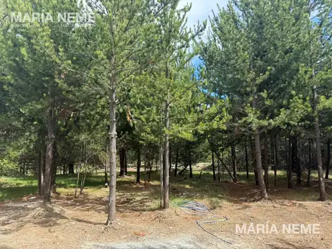 Terreno en Venta 38  mts Fondo
