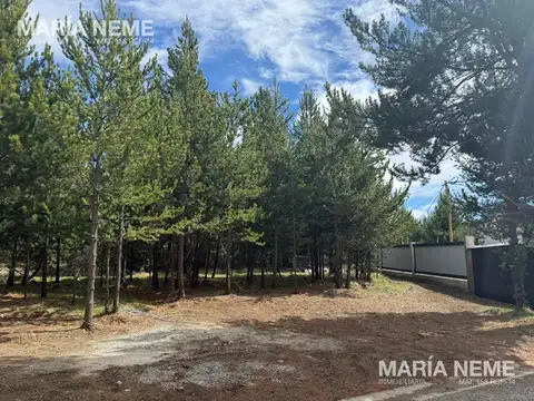 Terreno en Venta 23  mts Frente