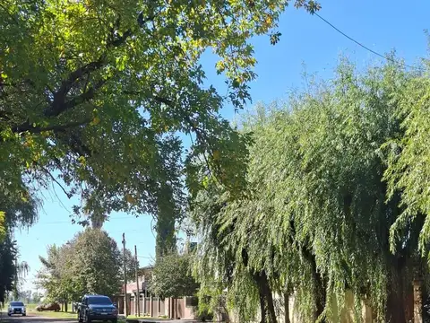 Terreno en Venta 22  mts Fondo