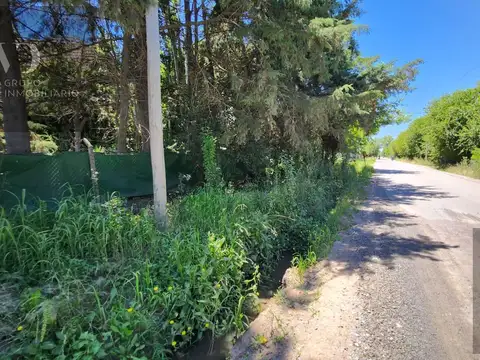 Terreno en Venta 10  mts Frente