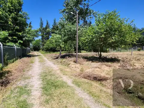 Terreno en Joaquin Gorina