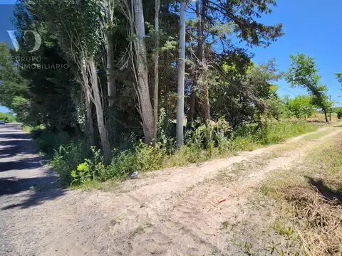Terreno en Venta 20  mts Fondo