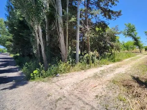 Terreno en Venta 20  mts Fondo