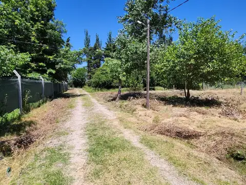 Terreno en Joaquin Gorina