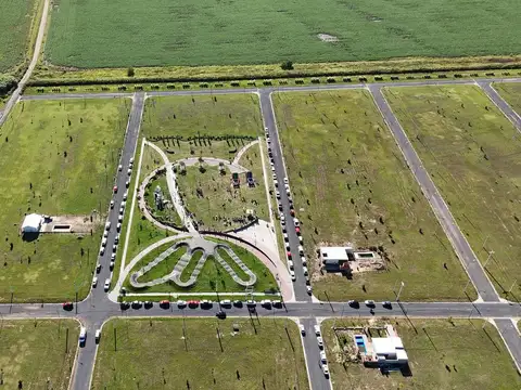 Los Pinos 4 - Terreno