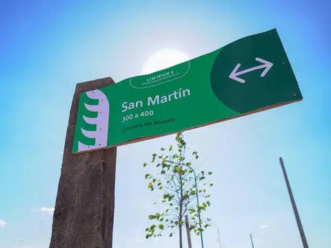 Terreno 360 m² Los Pinos 4 - Álvarez