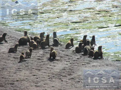 INMOBILIARIA COMODORO - Peninsula Valdés - Refugio de Vida Silvestre - PERMUTAS