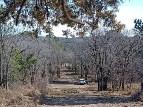 Terreno en Venta de 700,0 m2