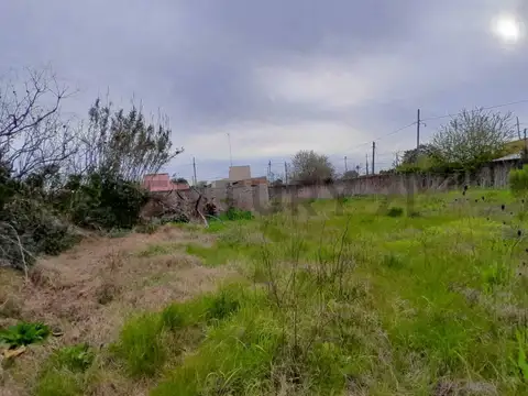 Terreno en Venta de 300,0 m2