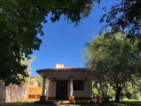 Gabriela Mistral y Amancay 100