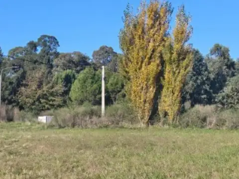 Terreno en venta - 1.045Mts2 - Azul
