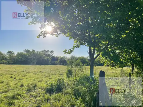 Terreno en Venta en Manzanares, USD 77.000