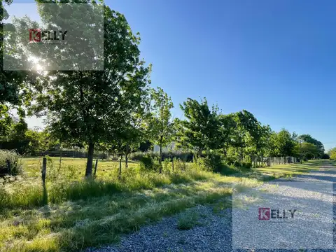 Lote en Venta en Manzanares – 2.800 m² Forestados con Excelente Acceso y Escritura Pública