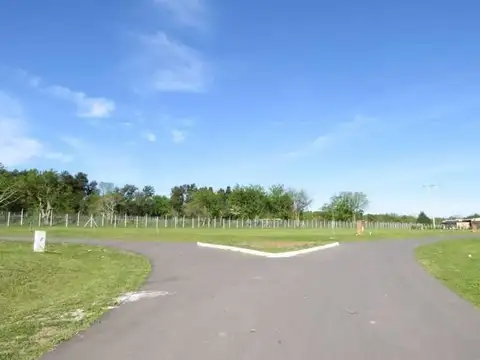 Altos De Campo Grande