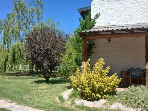 GOBERNADOR ORTEGA S/N 100