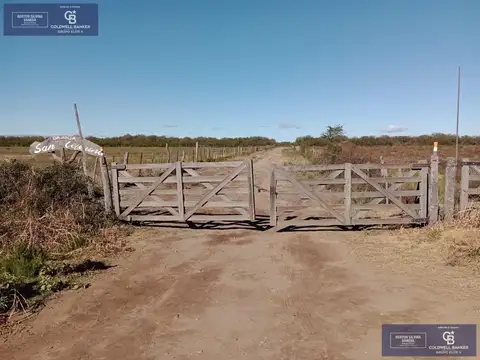 Terreno en venta  en Carpinteria san luis