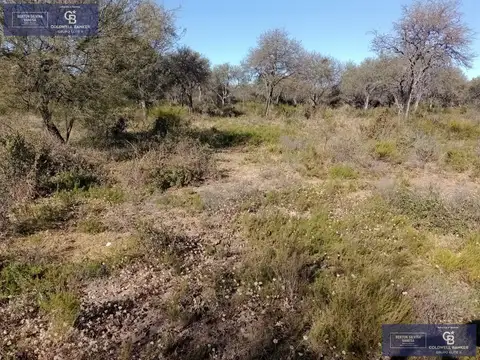 Terreno en Venta de 10000,0 m2