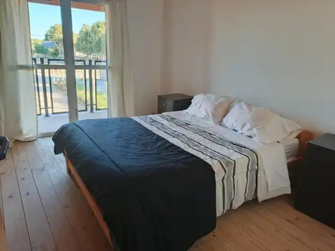 Panopea 430
