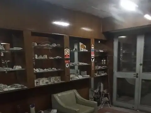 Galpon en Venta 17  mts Frente